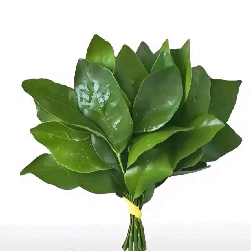 可人