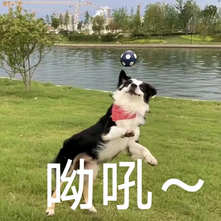 澳牧Turbo