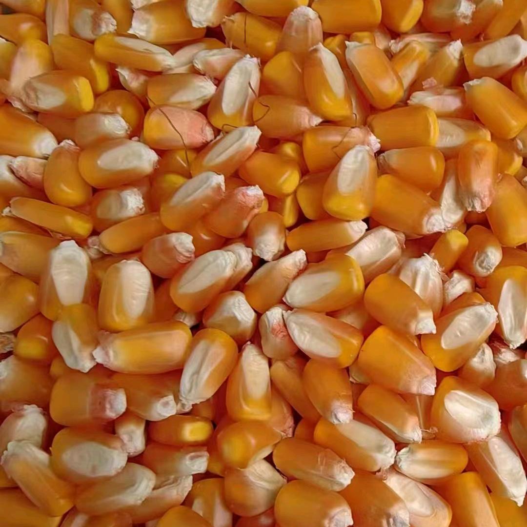 植保者（忠民农资）