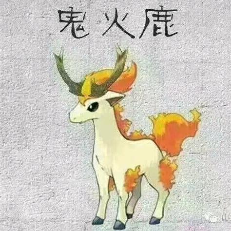 月亮不睡我不睡