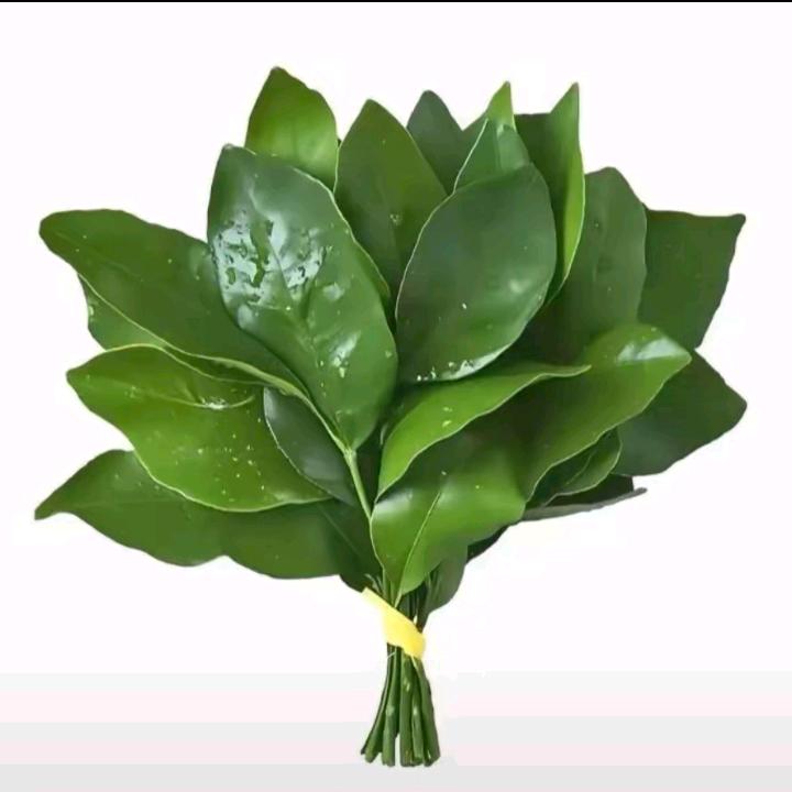 一切美好正在发生