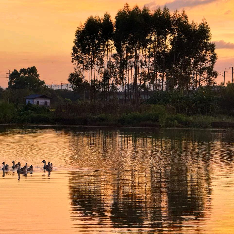 随便起个名字吧