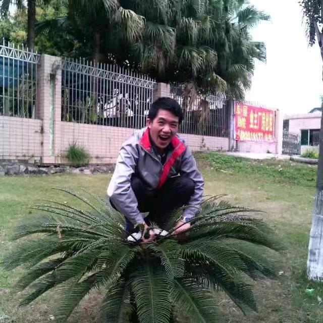 哥贵