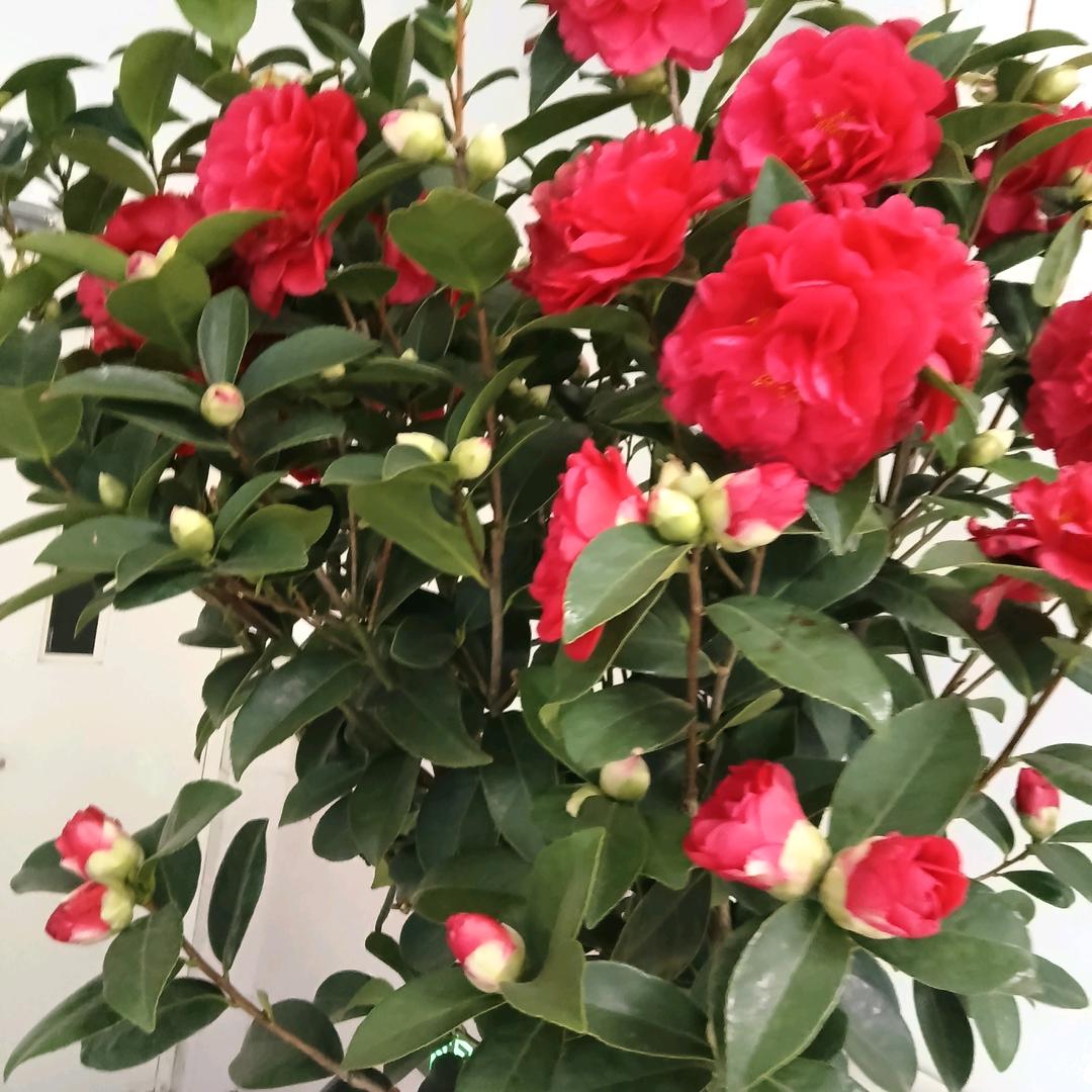 手机才是最好的陪伴