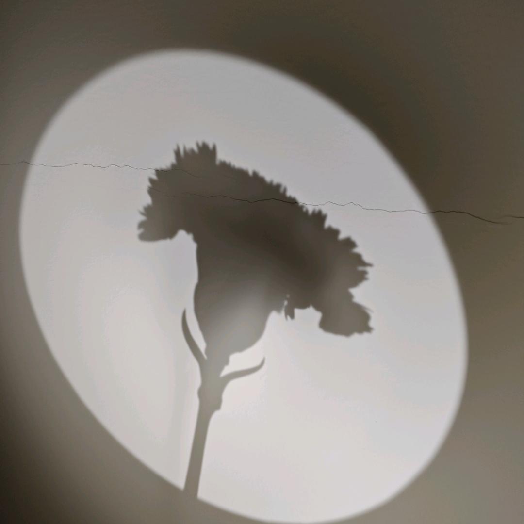 比巴比巴啵（關必茴）