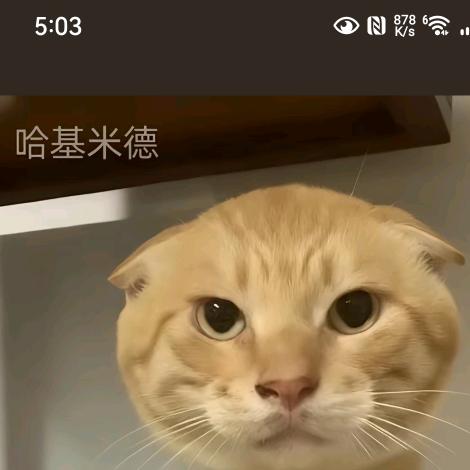 沐沐11