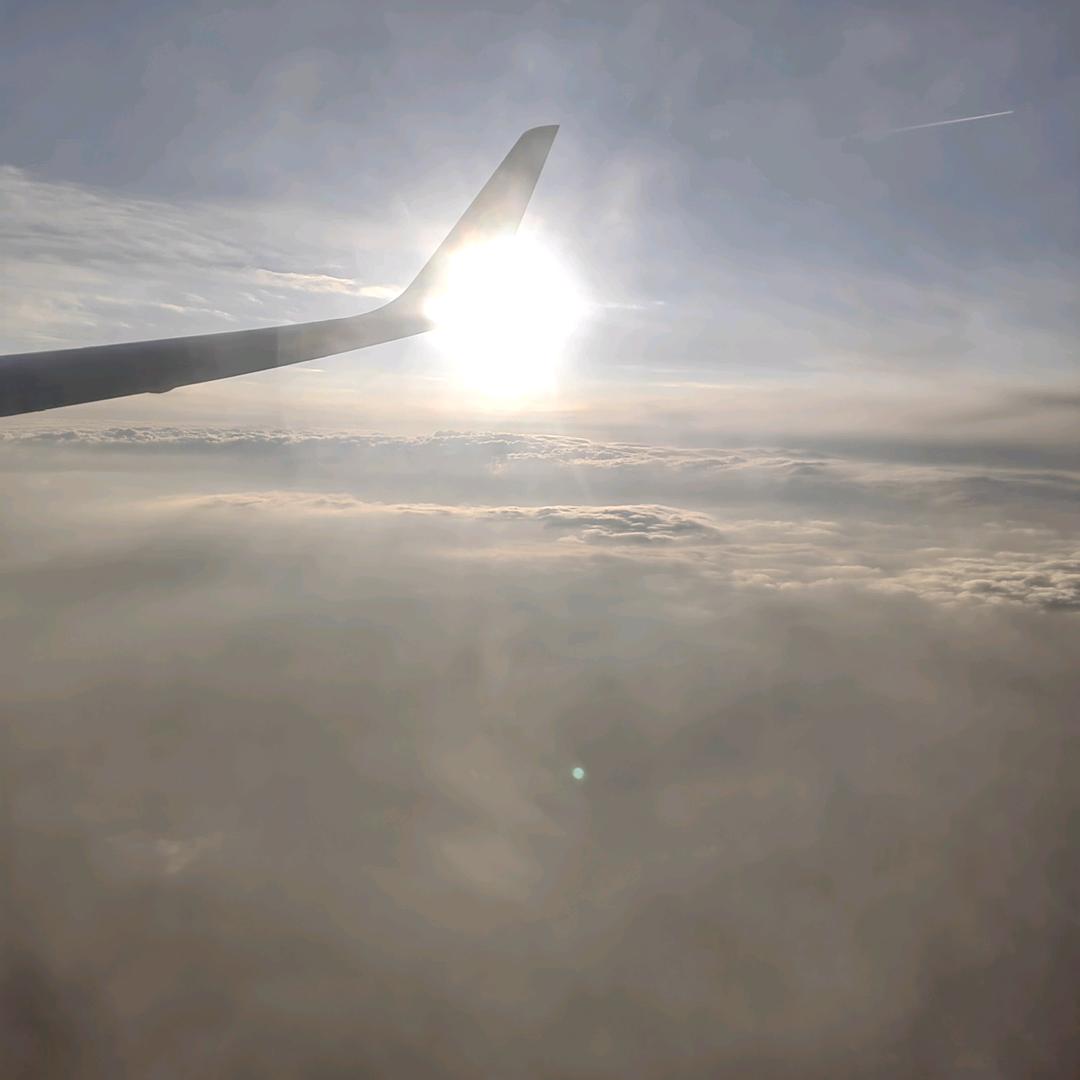 想好的ID已重复