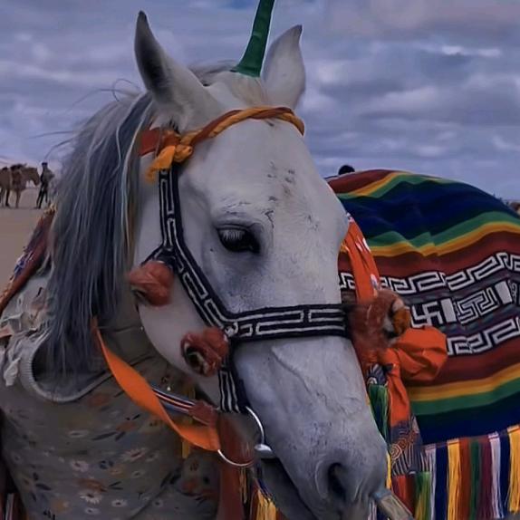 相信一切皆有可能