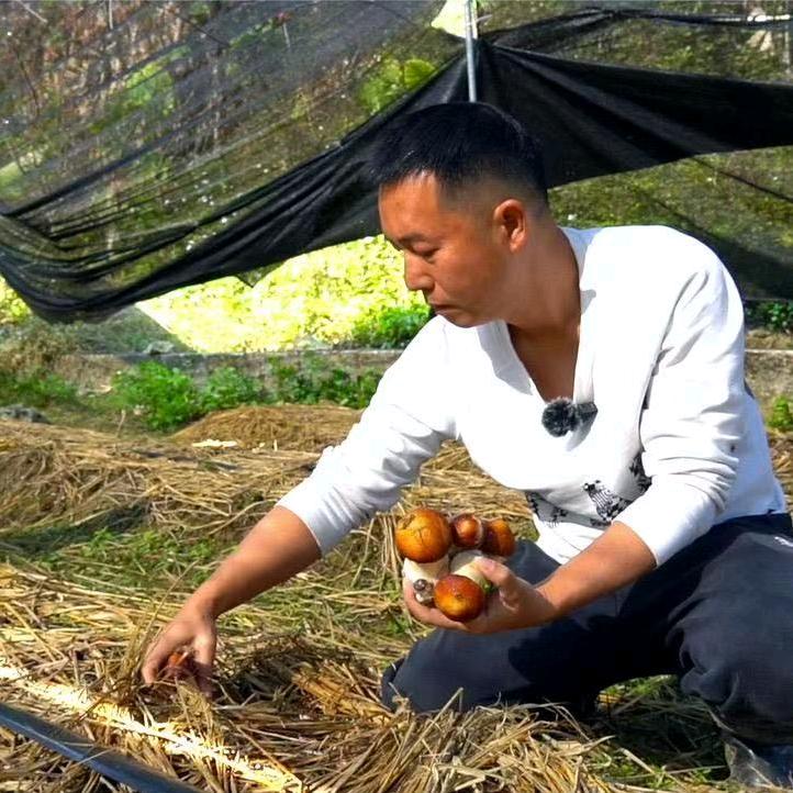 新三农人冯哥（日常分享）
