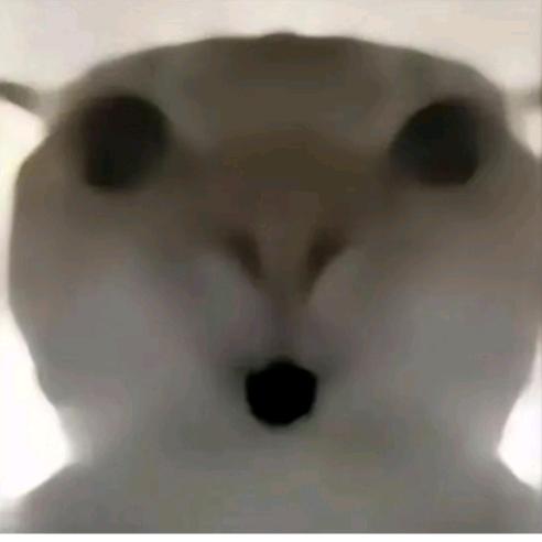 聪明滴菠萝头（三角洲行动）