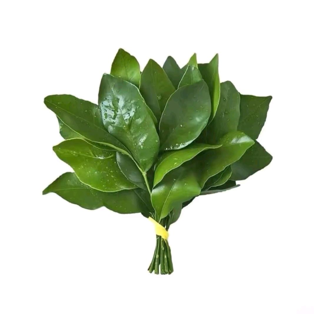 睡个好觉ba