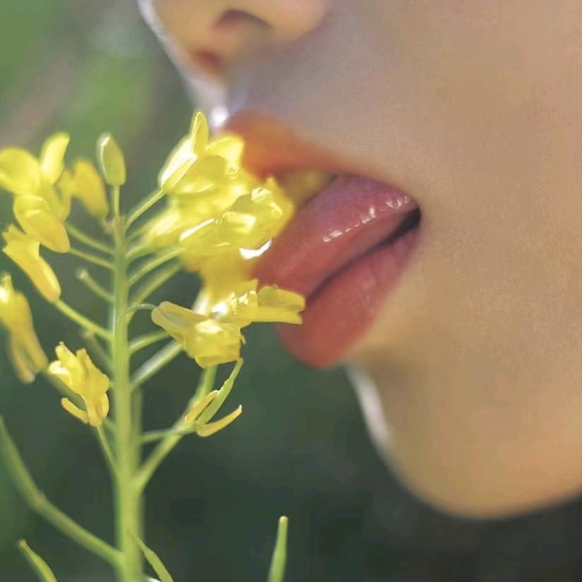 🌶️᭄小☾辣⋆᭄椒🌶️