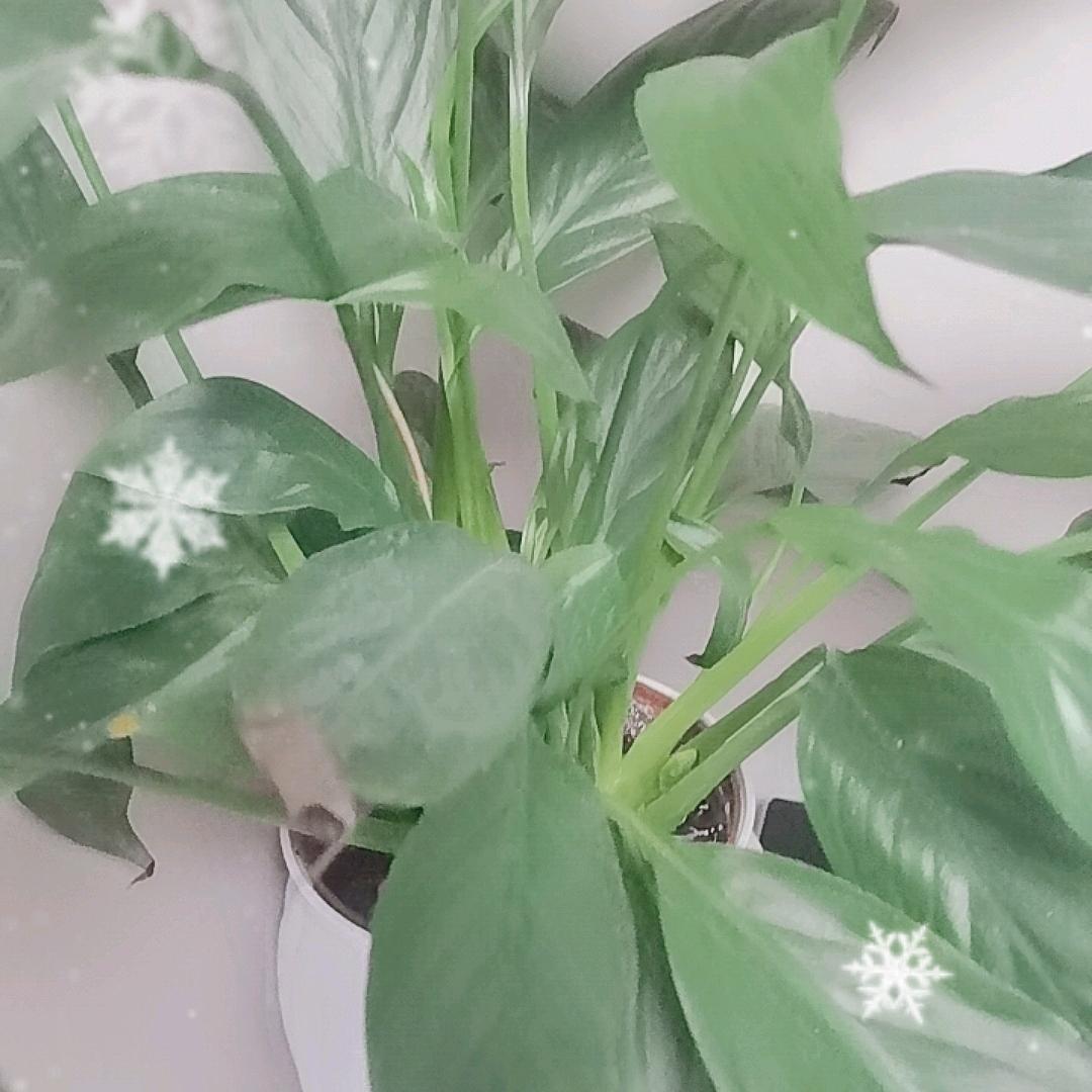 赤壁市姚琳裕淑百货有限公司.