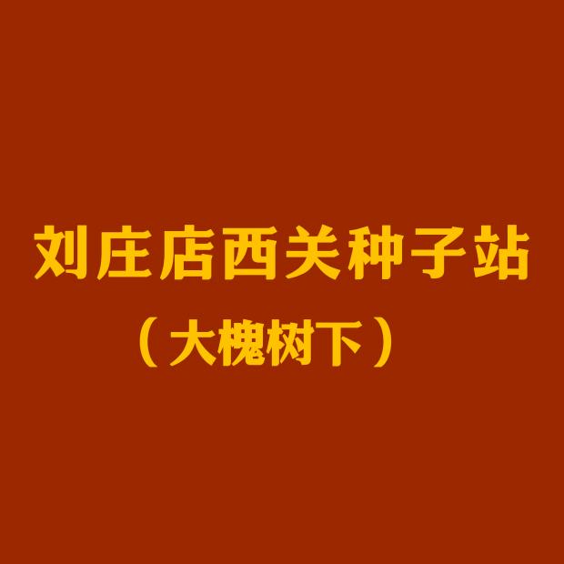 沈丘县刘庄店西关种子店