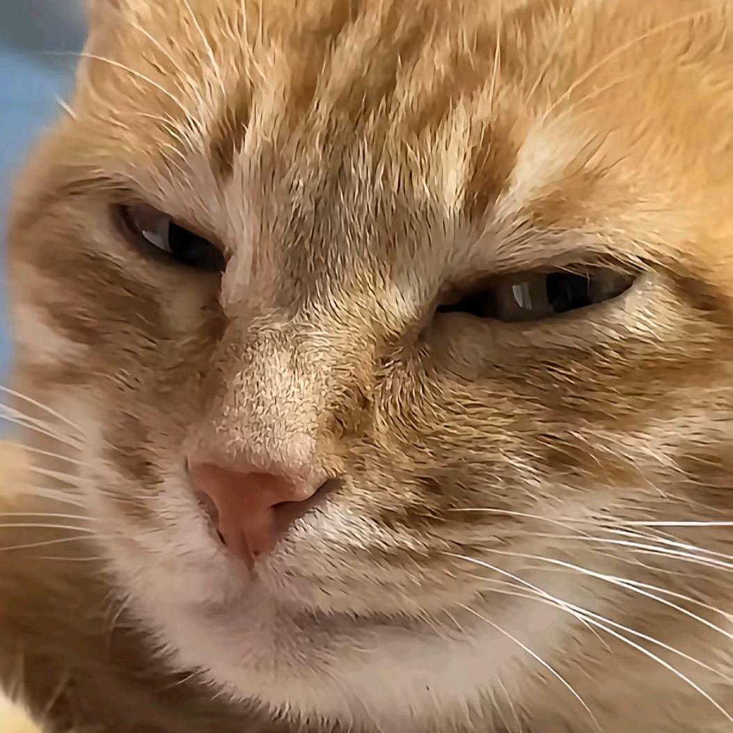 一扛一麻袋（接燕云代肝）