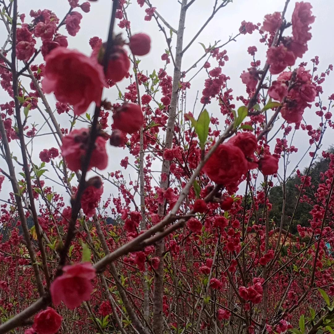 时光已不在