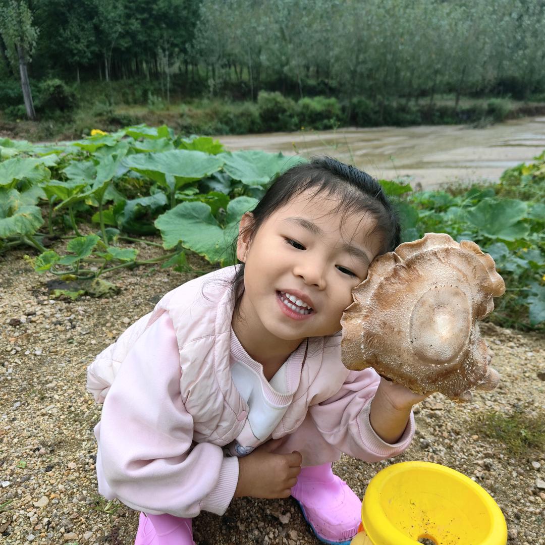 山茶花开在年糕里