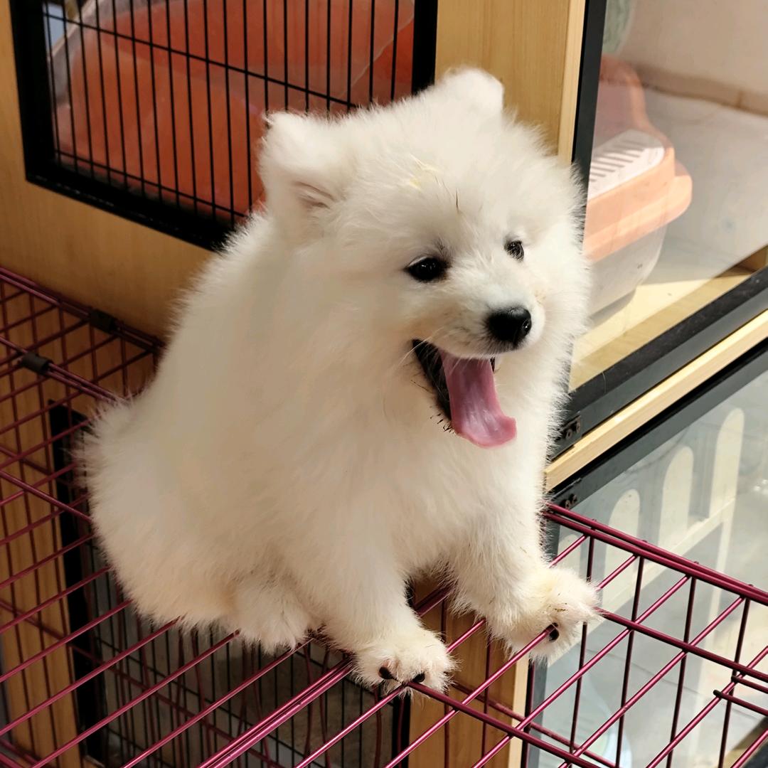 🌠凌晨碎碎念