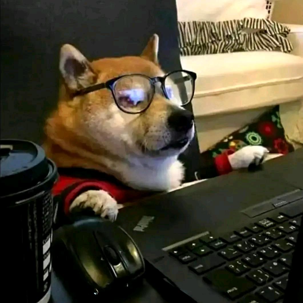 🐶