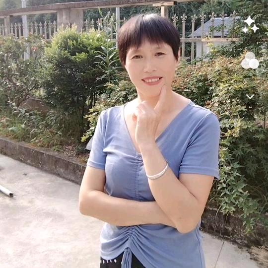 菊清