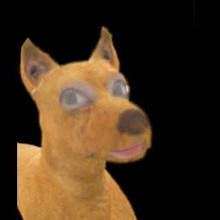 将玫瑰藏于身后ღ