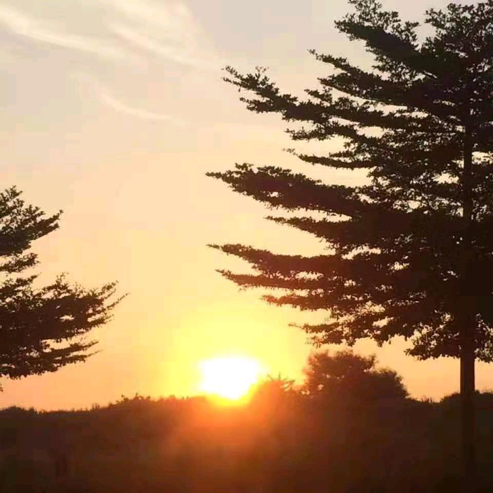 红太阳👍🏻👍🏻