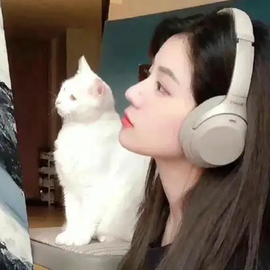 音乐精灵🎹🥁