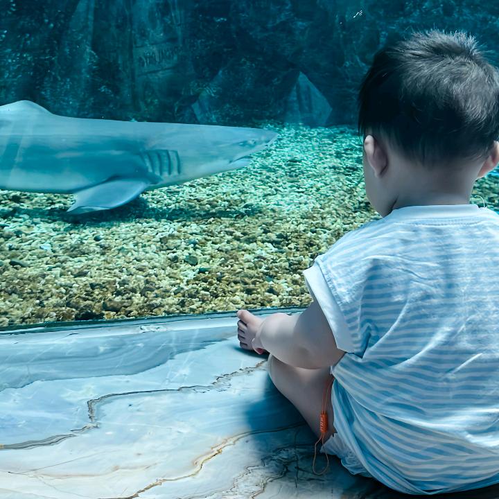 北京时代智测科技  吴翔