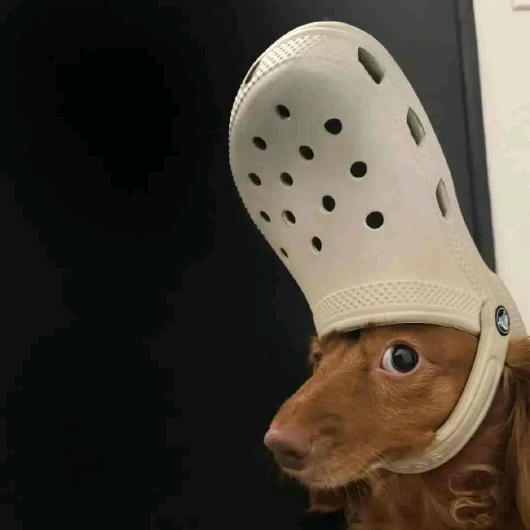 哈哈