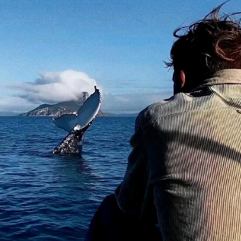 蚌埠亮仔演艺传媒