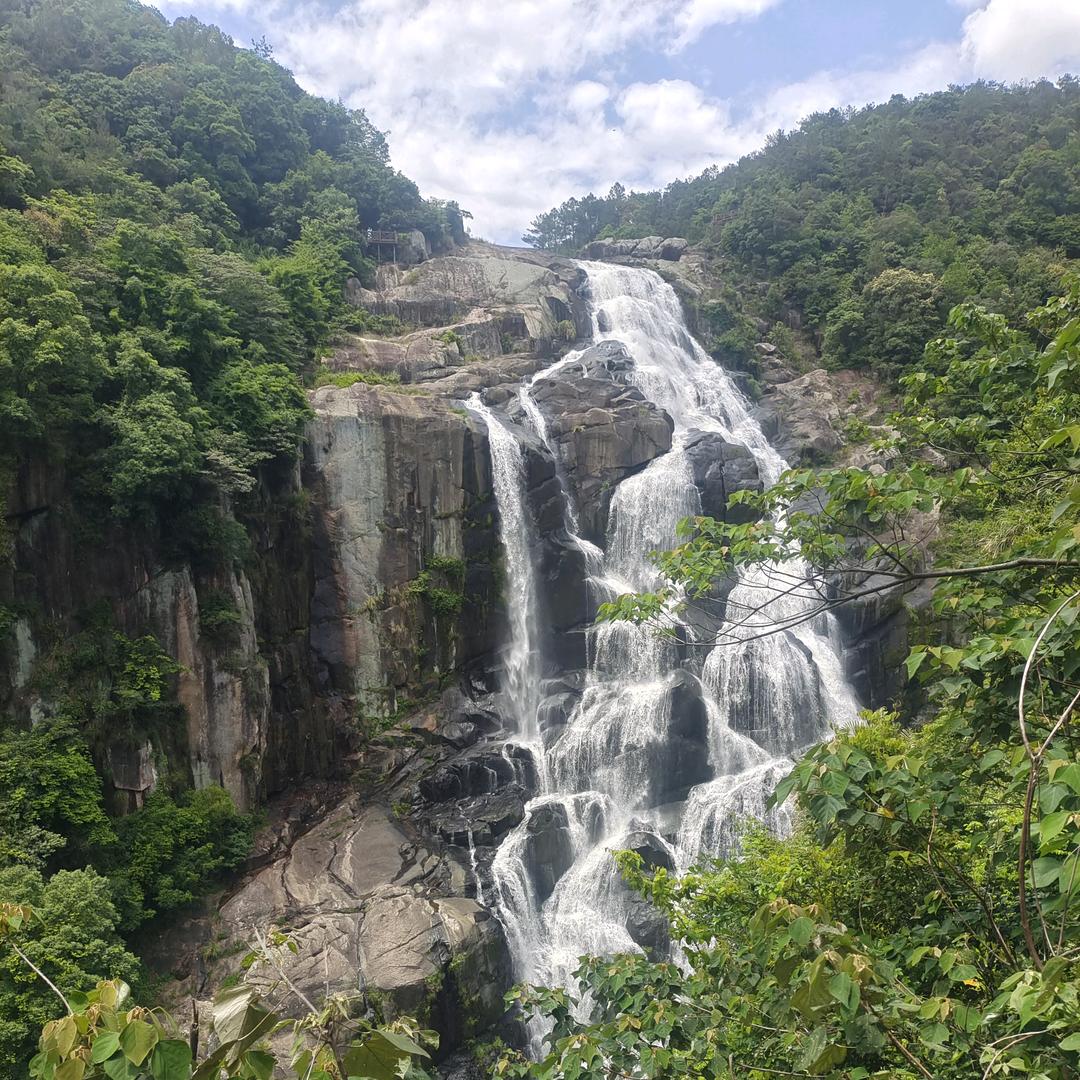 小林林