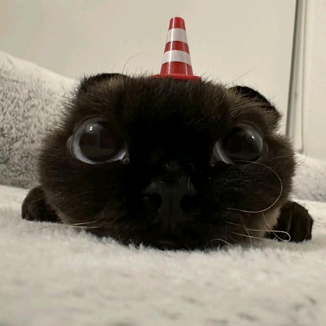 旭-_-