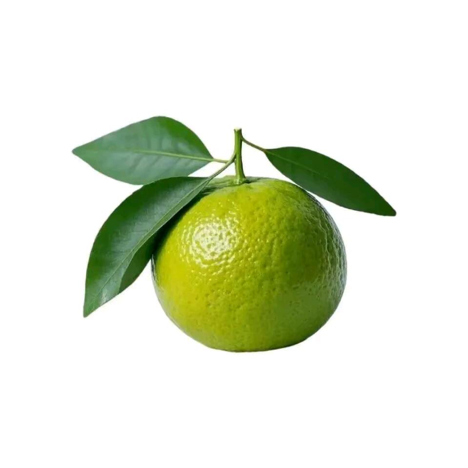 好运🍊橙子