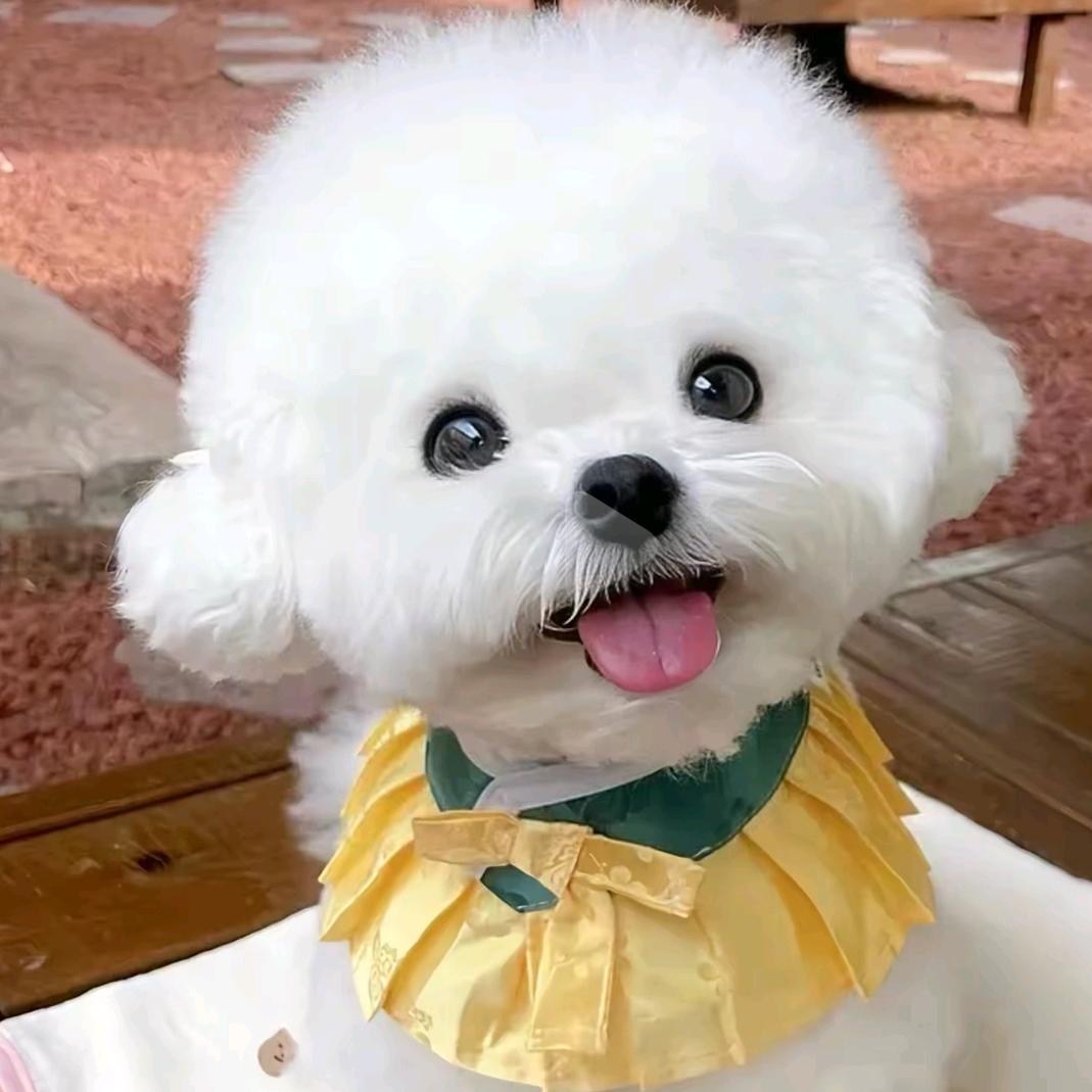 天天学习很开心