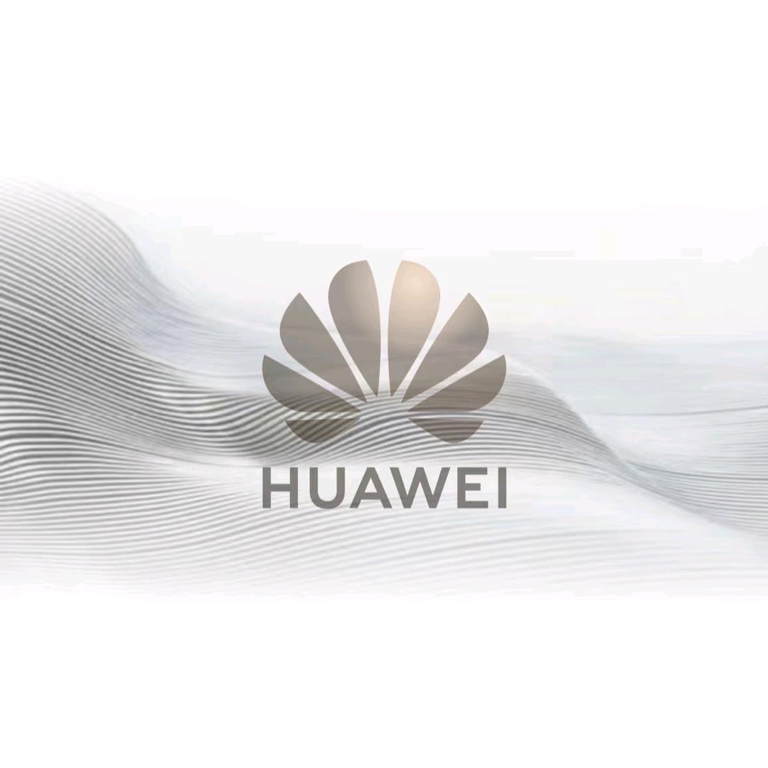 HUAWEI(固镇大润发店)