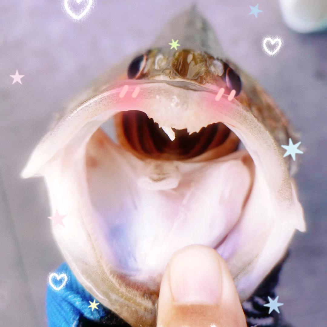 哒哒