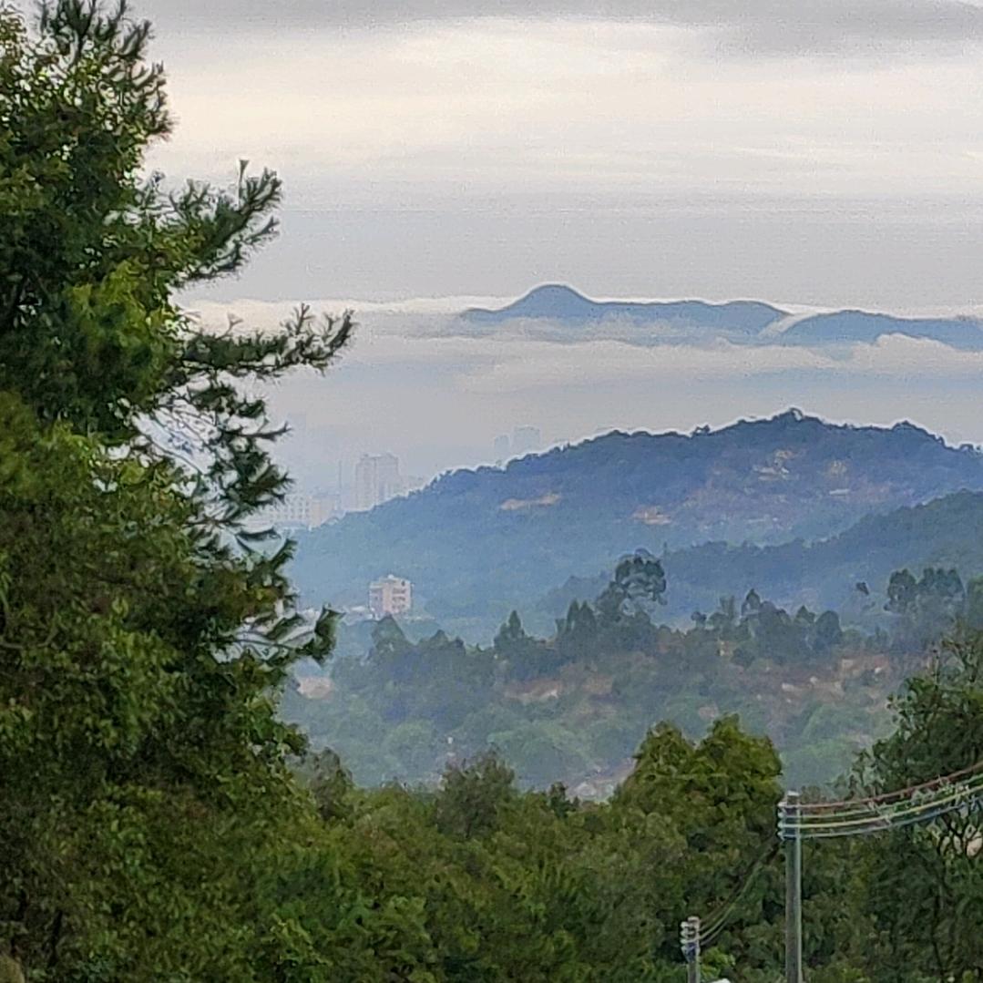 厌蠢症重度患者