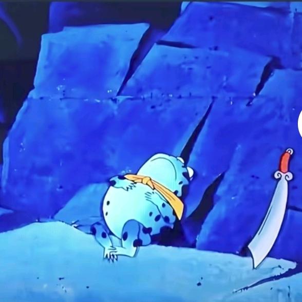 普炫净 德科雨刷