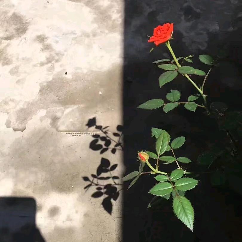 80352705702