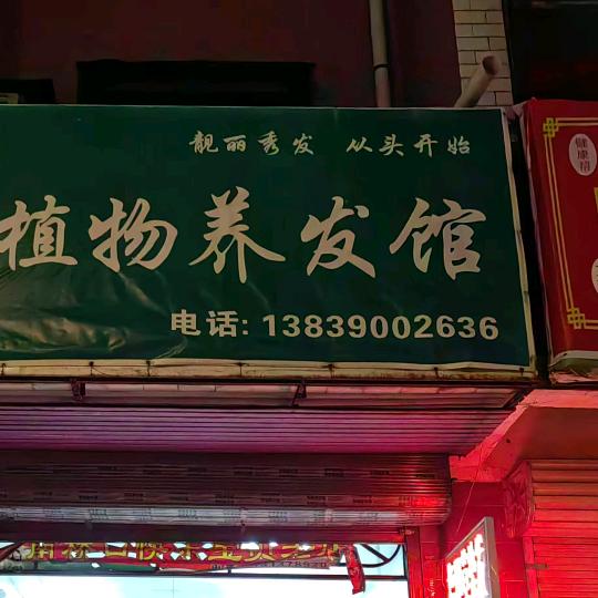 植物养发馆