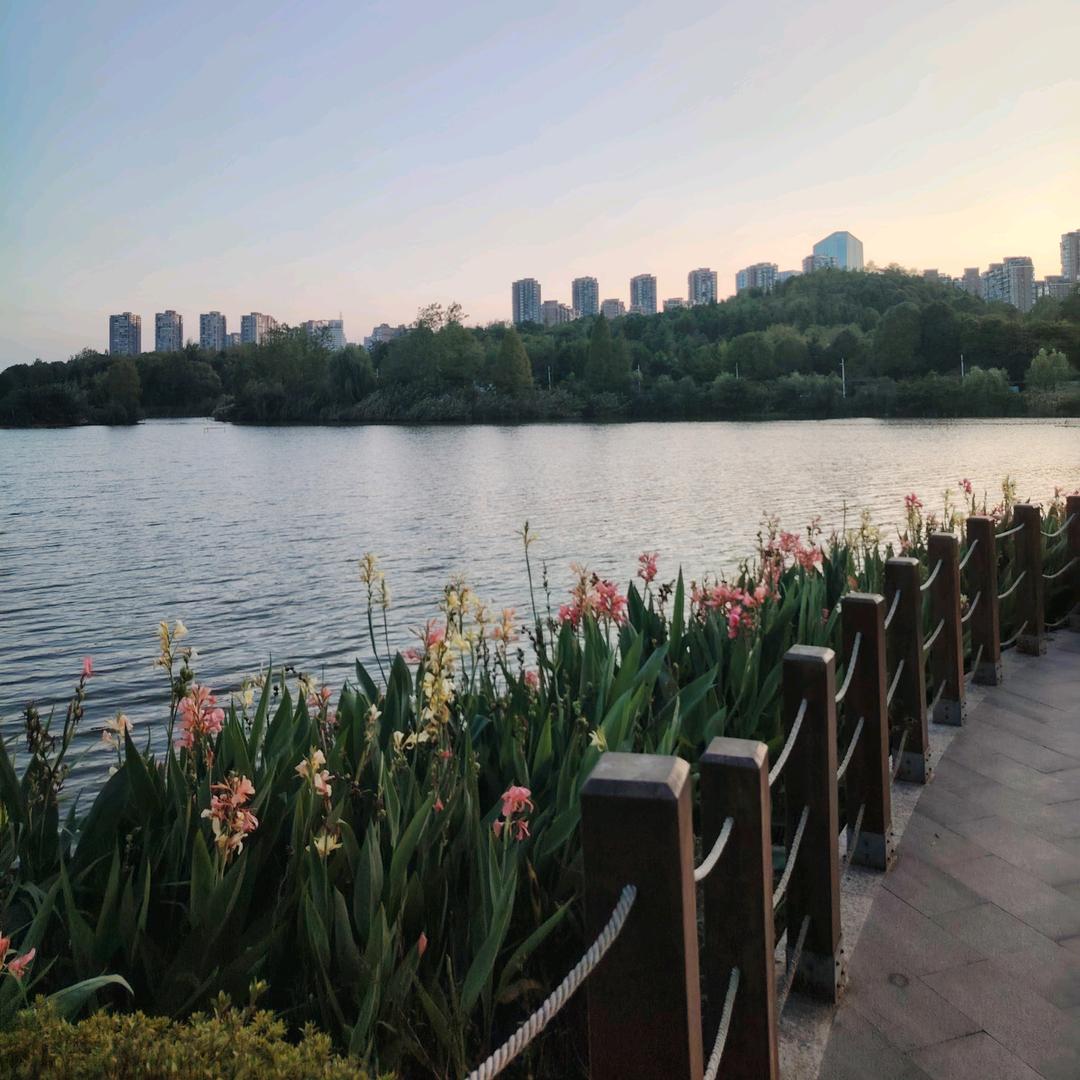 🥳与众不彤😜