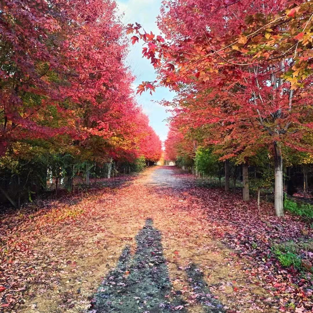 没睡醒的小孙💤-🏍💔