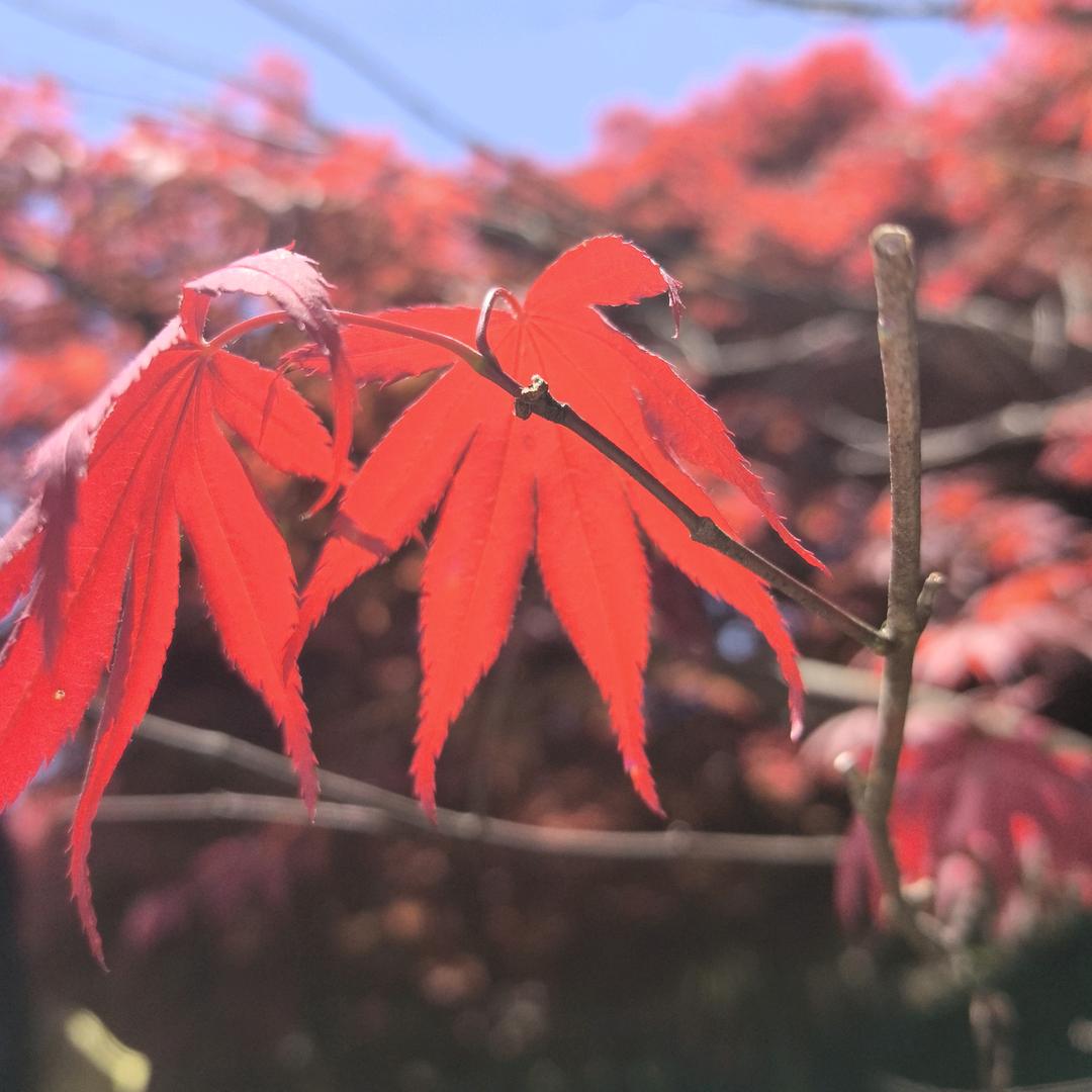 魅力八零