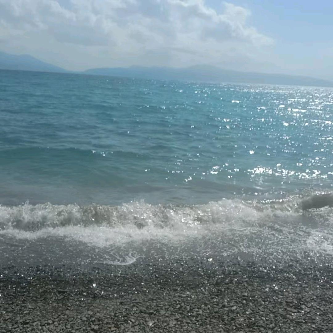 强哥物流