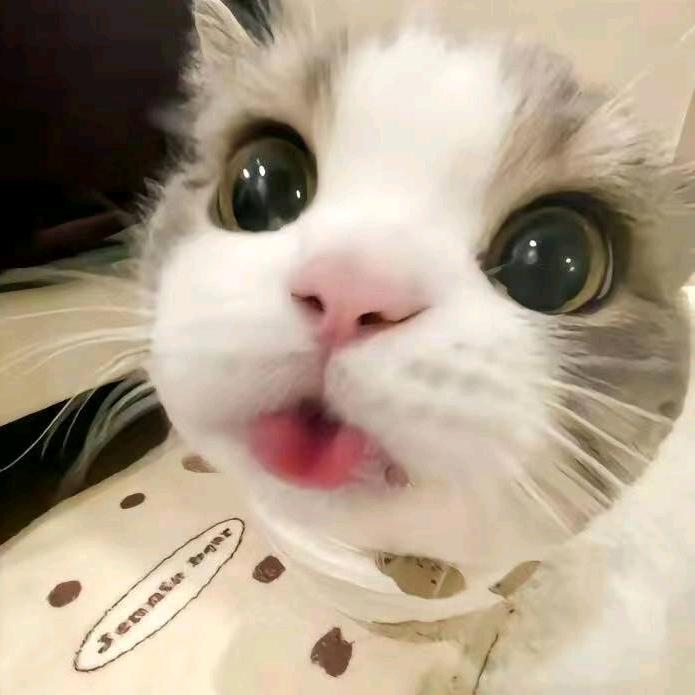 屋唔伍