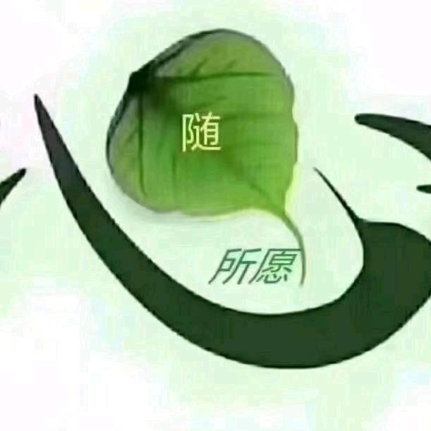 星月菩提善