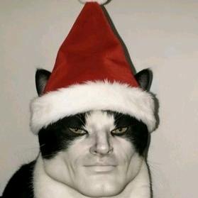 86岁深情老爷爷（有低保）