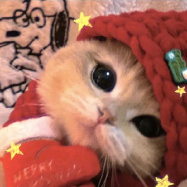𝓗.子墨👑梦瑶