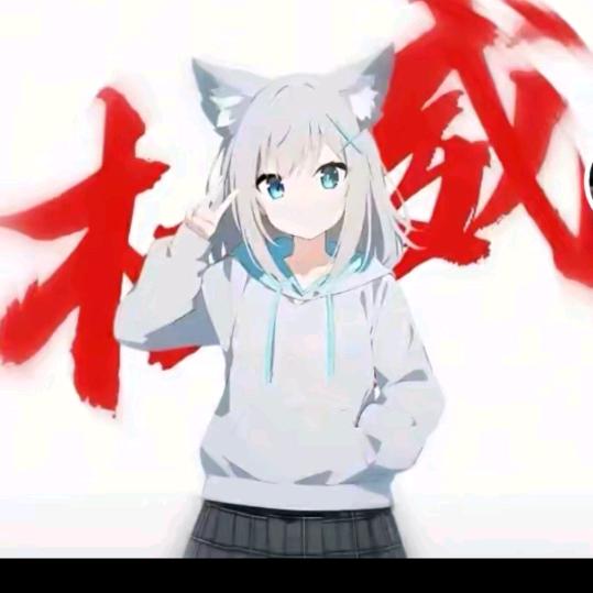 银狐夜枫