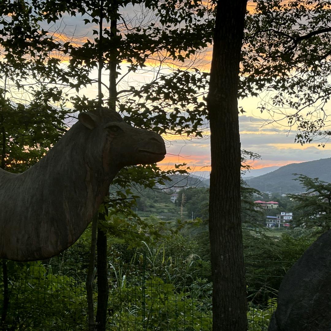 一动不动是懵雕